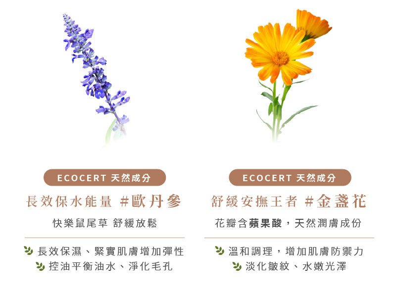 ERIGANCE愛芮肯_淨白控油煥膚精華_ECOCERT 天然成 長效保水能量#歐丹參 快樂鼠尾草舒 長效保濕、緊實肌膚增加彈性 控油平衡油水、淨化毛孔 ECOCERT天然成 舒緩安撫王者#金盞花 花瓣含蘋果酸,天然潤膚成份 溫和調理,增加肌膚防禦力 淡化皺紋、水嫩光澤